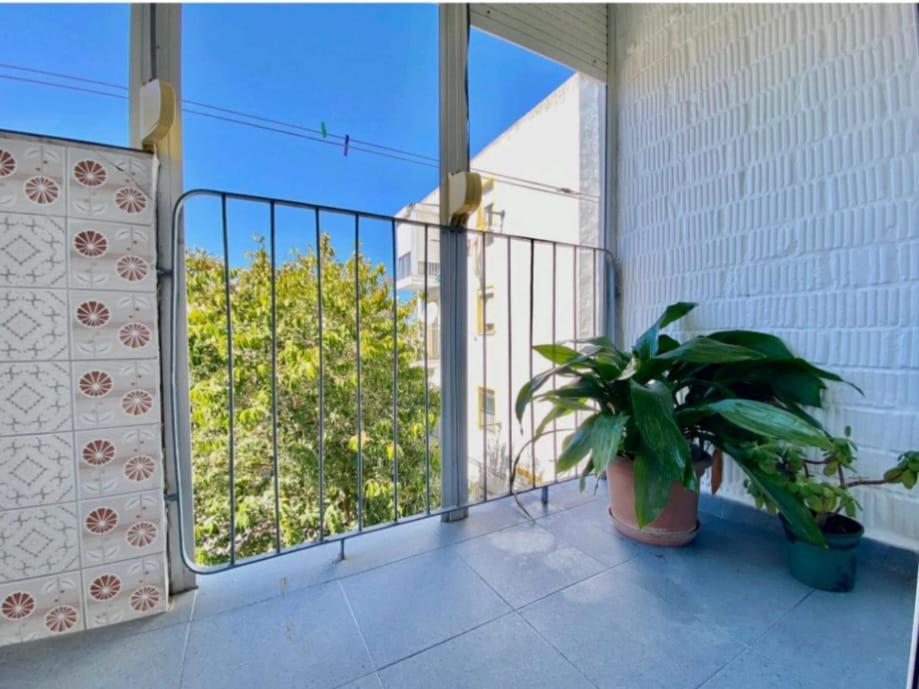 Solea Daire Jerez de la Frontera Dış mekan fotoğraf